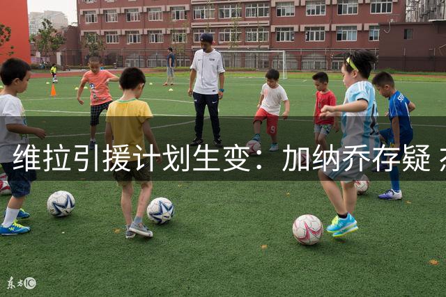 维拉引援计划生变：加纳乔存疑 杰克逊或成锋线新选择
